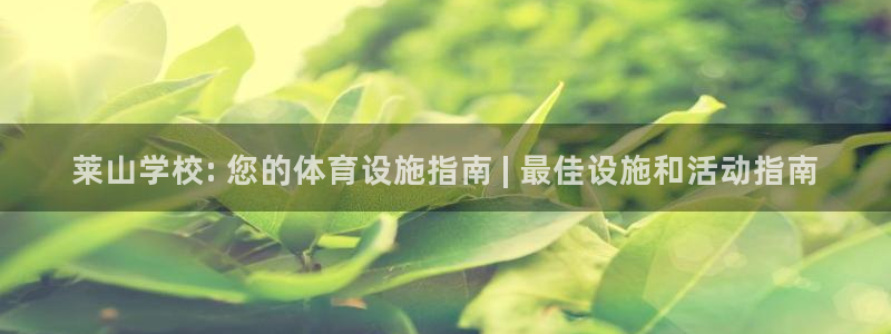 意昂体育3官方客服电话：莱山学校: 您的体育设施指南