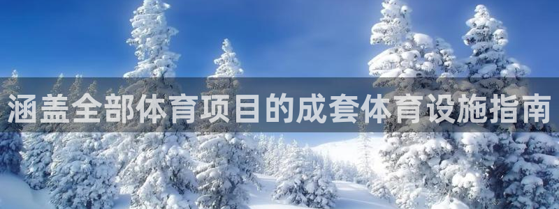 意昂体育3平台注册流程图：涵盖全部体育项目的成套体育