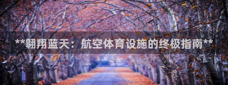 意昂体育3招商电话地址查询：**翱翔蓝天：航空体育设