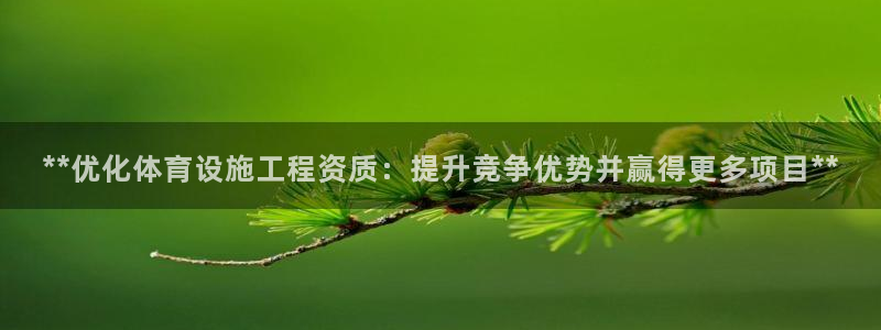 意昂3集团官网首页网址：**优化体育设施工程资质：提