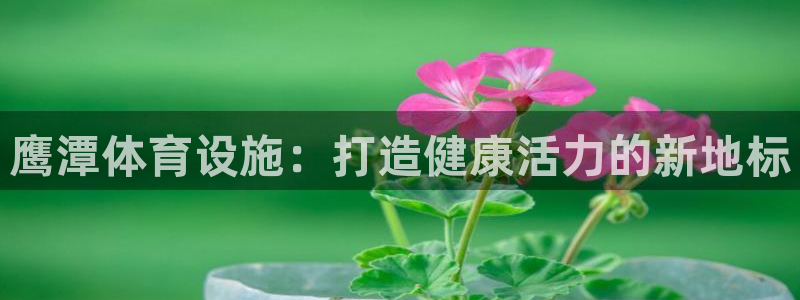 海南意昂体育3发展怎么样：鹰潭体育设施：打造健康活力