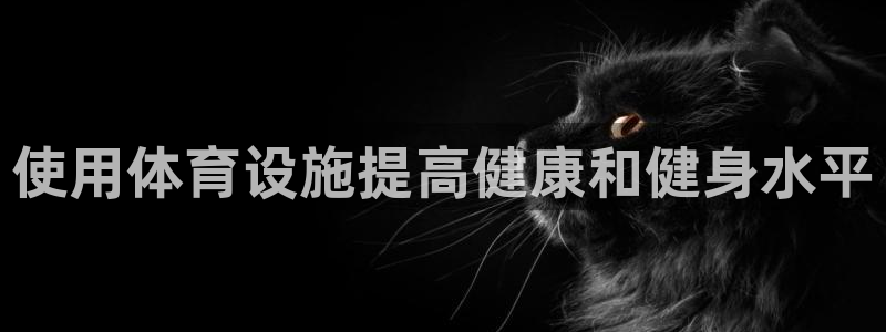 意昂3代理：使用体育设施提高健康和健身水平
