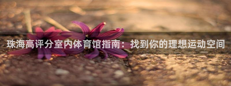 意昂3科技：珠海高评分室内体育馆指南：找到你的理想运