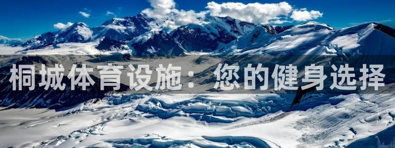 意昂体育3软件：桐城体育设施：您的健身选择