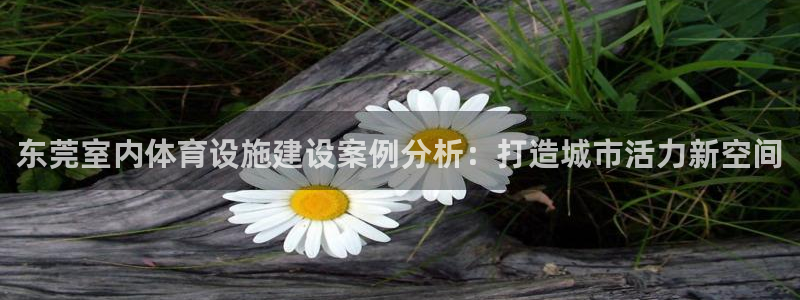 意昂体育3联系电话：东莞室内体育设施建设案例分析：打