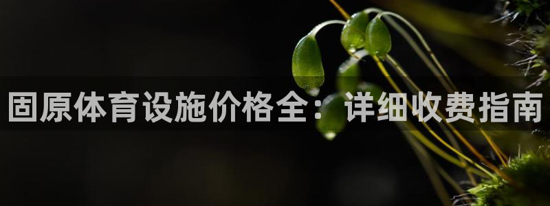意昂体育3招商电话号码查询是多少：固原体育设施价格全