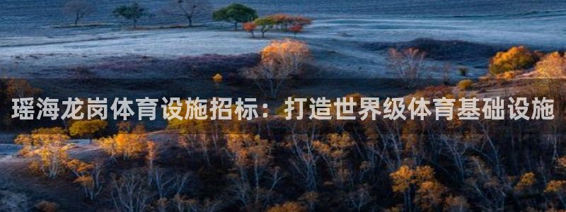 意昂3集团官网首页：瑶海龙岗体育设施招标：打造世界级