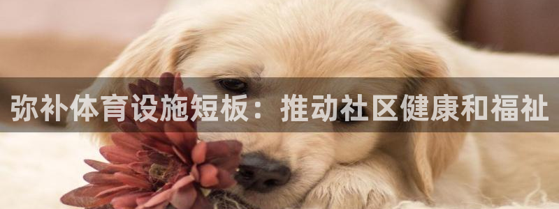 意昂3五金厂：弥补体育设施短板：推动社区健康和福祉