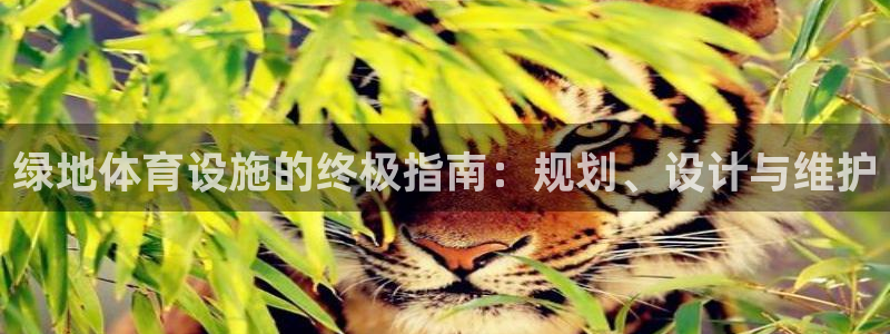 意昂体育3招商电话号码查询是多少：绿地体育设施的终极