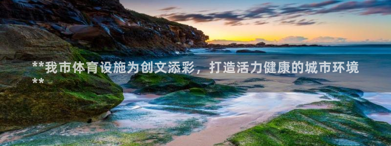 德国意昂3集团：**我市体育设施为创文添彩，打造活力