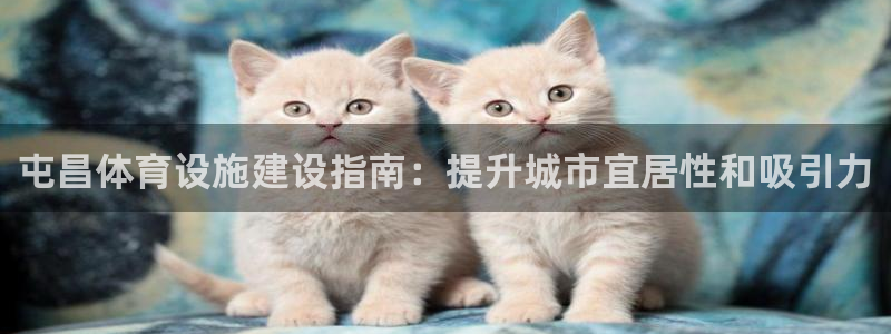 意昂3娱乐下载：屯昌体育设施建设指南：提升城市宜居性
