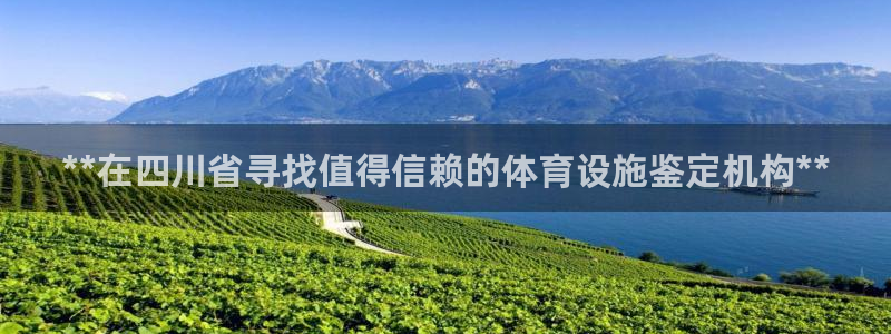 意昂3娱乐是那个系列的台子：**在四川省寻找值得信赖