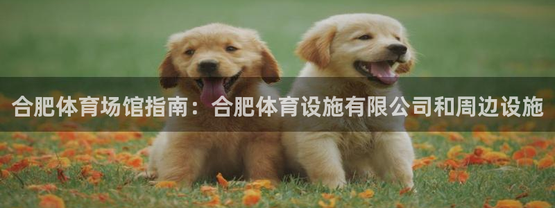 意昂3科技：合肥体育场馆指南：合肥体育设施有限公司和