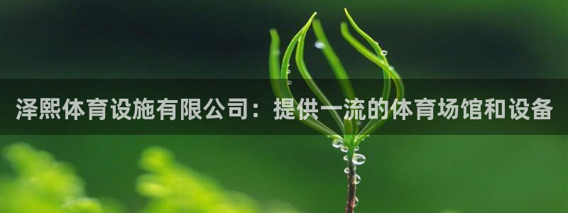 意昂体育3平台是正规平台吗知乎：泽熙体育设施有限公司