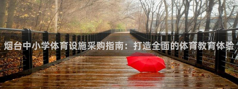 意昂3新能源：烟台中小学体育设施采购指南：打造全面的