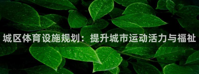 意昂3娱乐平台：城区体育设施规划：提升城市运动活力与