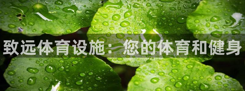 意昂3娱乐40996：致远体育设施：您的体育和健身