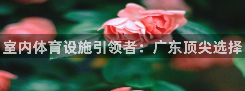 意昂体育3平台是正规平台吗知乎