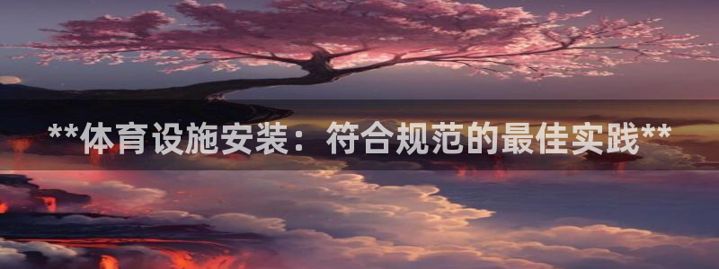 意昂体育3平台APP：**体育设施安装：符合规范的最