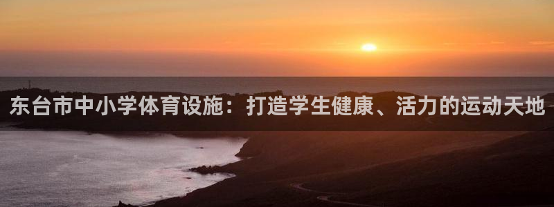 意昂体育3软件：东台市中小学体育设施：打造学生健康、