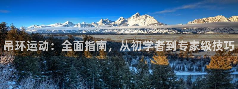 意昂体育3平台是正规平台吗安全吗：吊环运动：全面指南