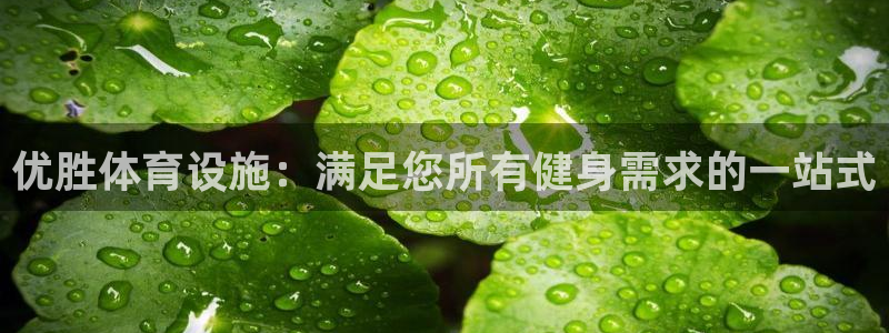 意昂平台体育：优胜体育设施：满足您所有健身需求的一站