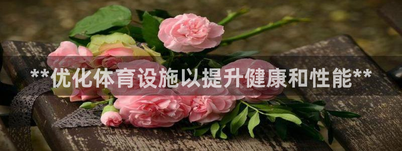 意昂体育3注册：**优化体育设施以提升健康和性能**