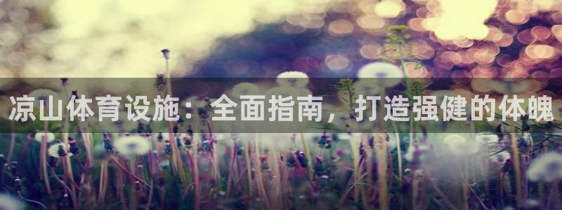 意昂3娱乐代理怎么样：凉山体育设施：全面指南，打造强