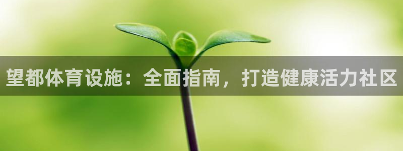 意昂3娱乐下载：望都体育设施：全面指南，打造健康活力