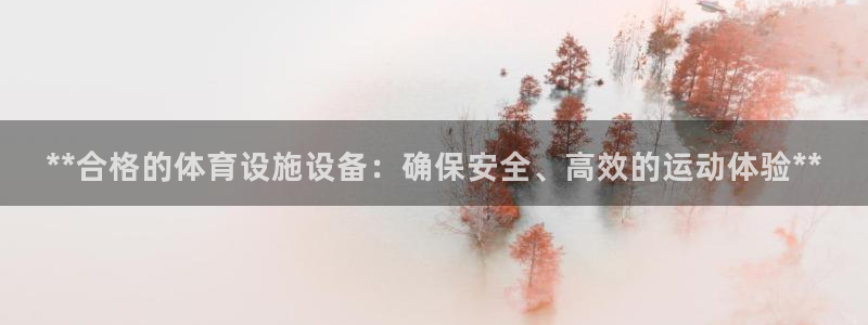 意昂3开户：**合格的体育设施设备：确保安全、高效的