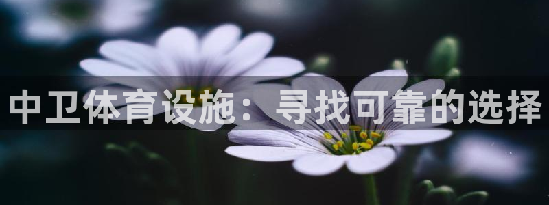 海南意昂体育3发展怎么样：中卫体育设施：寻找可靠的选
