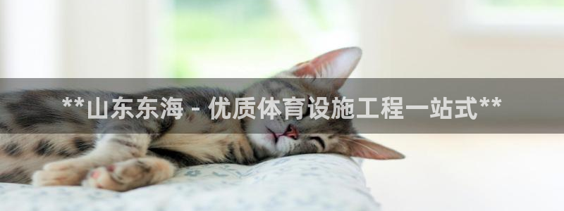 意昂体育3平台是正规平台吗：**山东东海 - 优质体