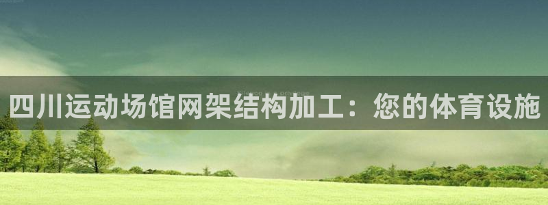 意昂3集团简介：四川运动场馆网架结构加工：您的体育设