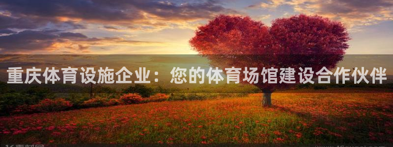 意昂体育3平台注册要钱吗：重庆体育设施企业：您的体育