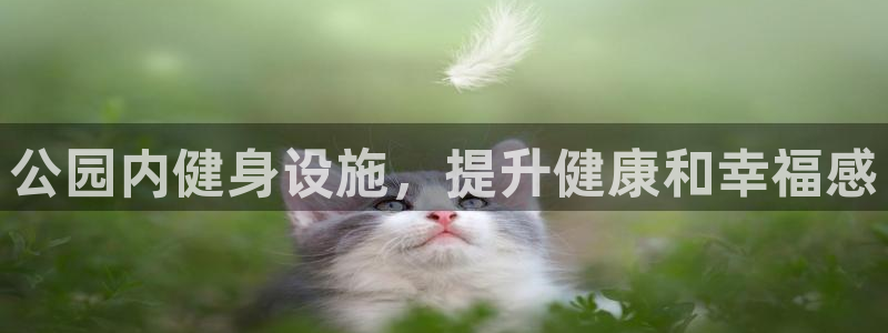 意昂3娱乐首页网站大全：公园内健身设施，提升健康和幸