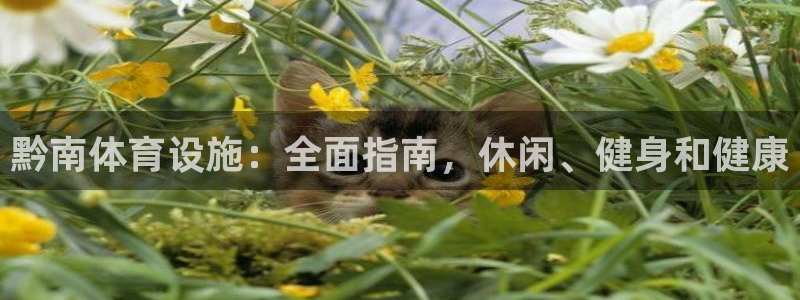 意昂3娱乐首页网站大全：黔南体育设施：全面指南，休闲