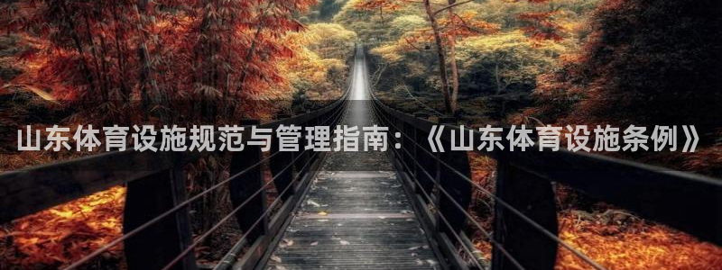 意昂体育3招商：山东体育设施规范与管理指南：《山东体