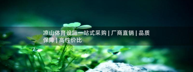 意昂体育3招商电话地址是多少：凉山体育设施一站式采购