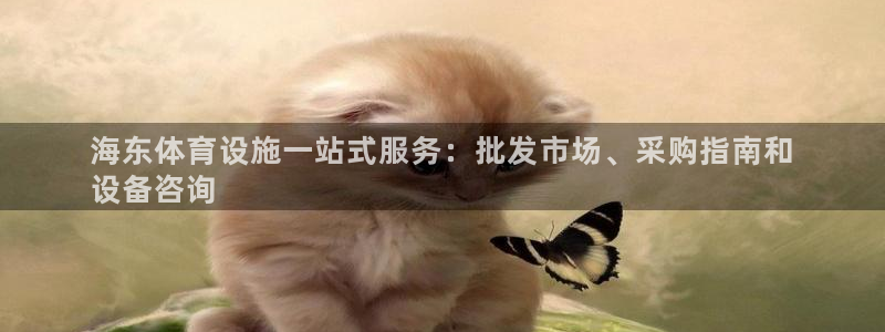 意昂3娱乐代理怎么样：海东体育设施一站式服务：批发市