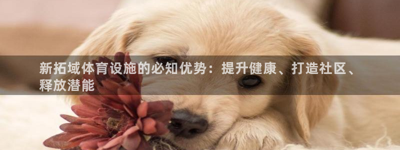 意昂体育3招商电话地址：新拓域体育设施的必知优势：提