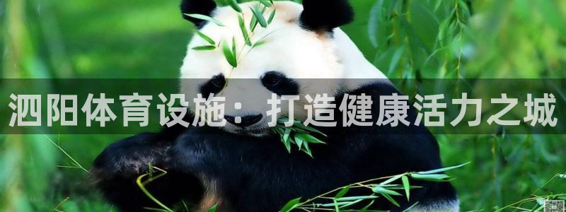 意昂3娱乐网站：泗阳体育设施：打造健康活力之城