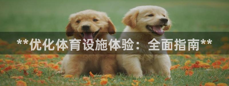 意昂3娱乐平台：**优化体育设施体验：全面指南**