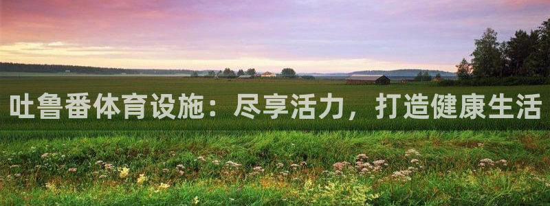 意昂体育3招商电话号码：吐鲁番体育设施：尽享活力，打