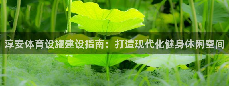 意昂体育3平台注册：淳安体育设施建设指南：打造现代化