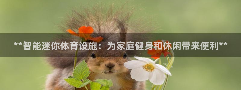 意昂体育3娱乐：**智能迷你体育设施：为家庭健身和休
