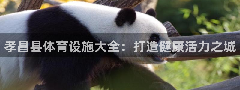 意昂体育3平台注册流程视频：孝昌县体育设施大全：打造