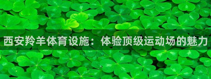 意昂3集团官网网址：西安羚羊体育设施：体验顶级运动场