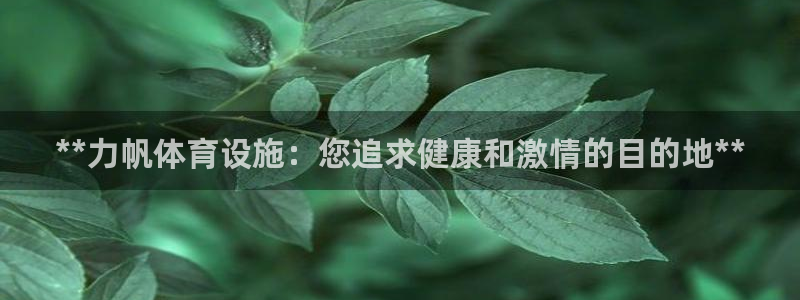 意昂3娱乐代理怎么样：**力帆体育设施：您追求健康和