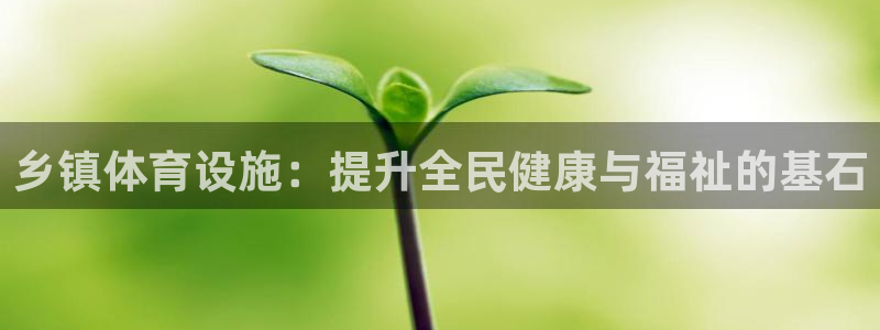 意昂3新能源：乡镇体育设施：提升全民健康与福祉的基石