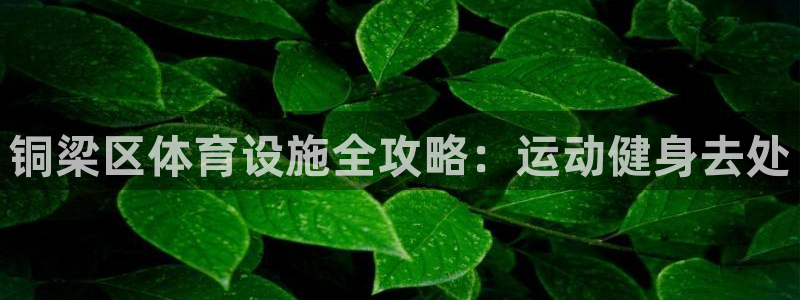 意昂体育3平台注册要钱吗安全吗：铜梁区体育设施全攻略
